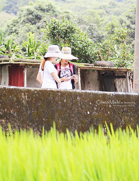 IMG_4854製.jpg IMG_4854製.jpg