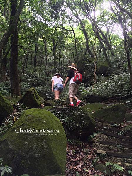 ok 2015-06-07 11.08.19 HDR.jpg ok 2015-06-07 11.08.19 HDR.jpg