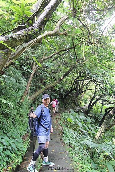 IMG_4738製 IMG_4738製