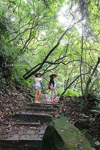 IMG_4777製 IMG_4777製