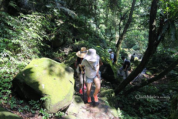 IMG_4800製 IMG_4800製