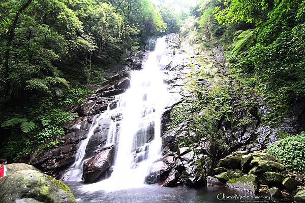 IMG_4819製 IMG_4819製