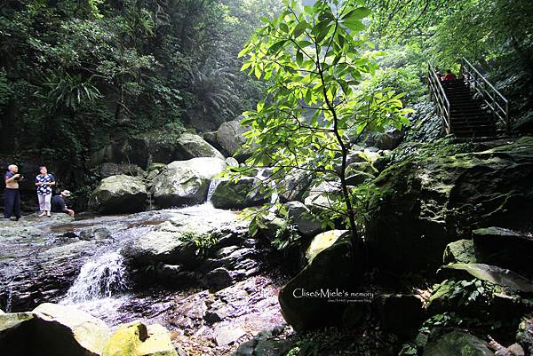 IMG_4817製 IMG_4817製