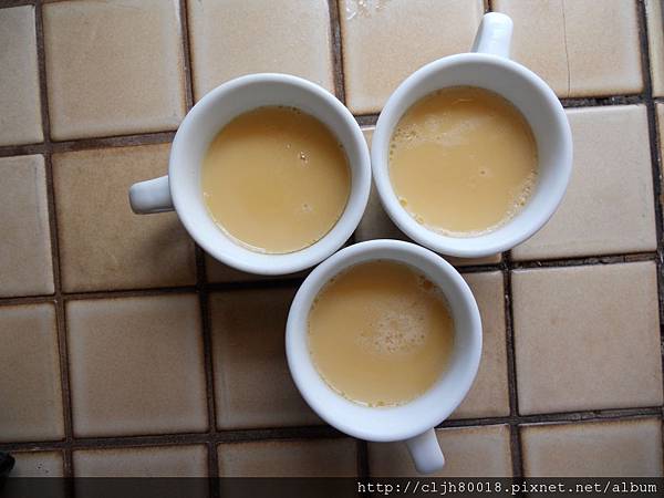 Flan 1 Flan 1