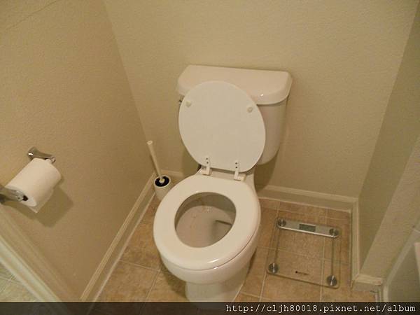 Toilet and bathroom scale