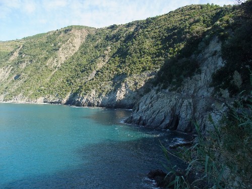 Manarola