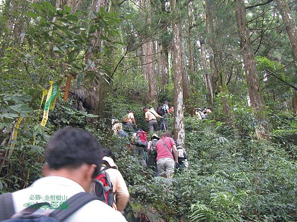 必勝登山-金甘樹山-04.jpg