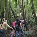 必勝登山-金甘樹山-05.jpg