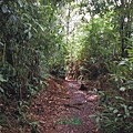 必勝登山-金甘樹山-17.jpg