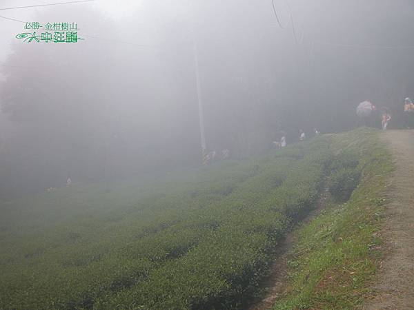 必勝登山-金甘樹山-25.jpg