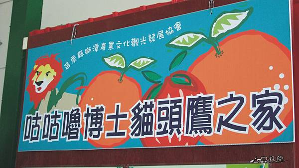 咕咕嚕博士貓頭鷹之家-10.jpg