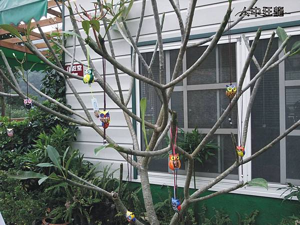 咕咕嚕博士貓頭鷹之家-61.jpg