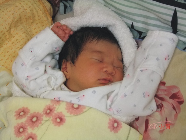 小甯04.jpg 小甯04.jpg