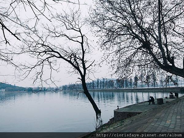 IMG_5176.JPG IMG_5176.JPG