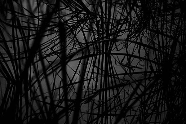 11511392576_769a41d34a_z