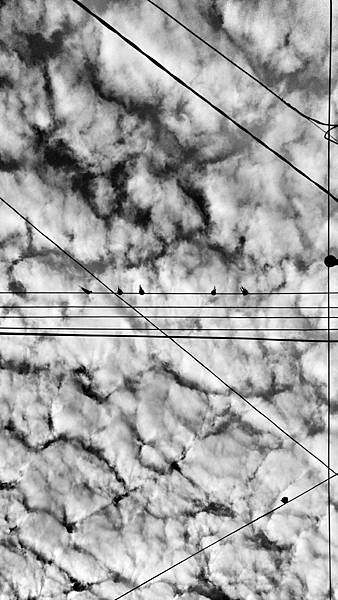 20151212_155321_HDR-01