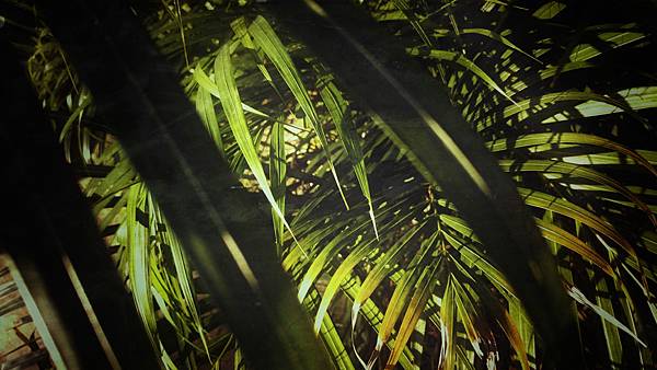 20160727_173504-01-01