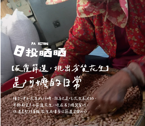 日投晒晒-花生+玫瑰蝦