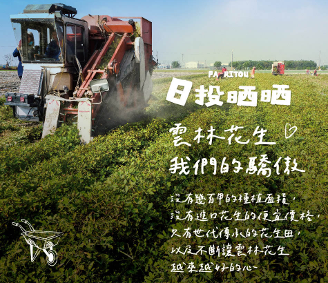 日投晒晒-花生+芥末