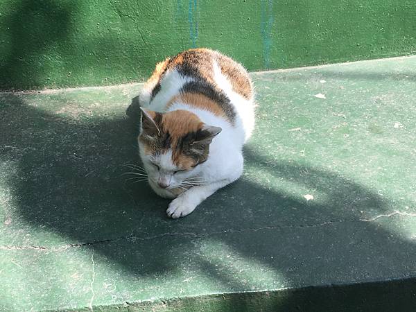 [首爾釜山2016] Day 3 Part I 甘川文化村 