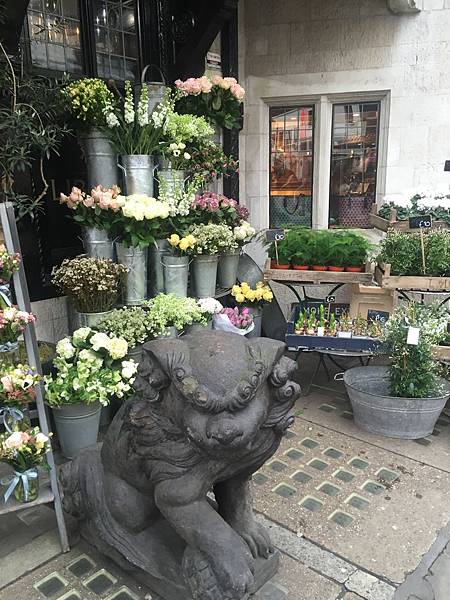 IMG_9365.JPG IMG_9365.JPG