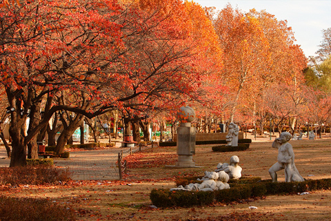 é¦ç¾åç«¥å¤§å¬åç´èçåçæå°çµæ