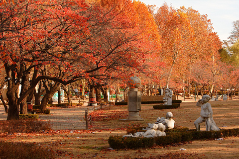 首爾兒童大公園官網紅葉路