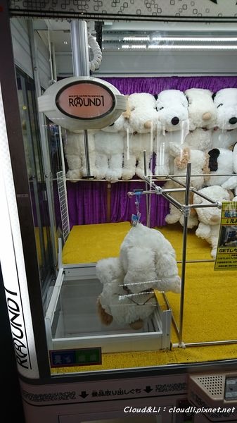 DSC_4873_01_16_2018.JPG DSC_4873_01_16_2018.JPG