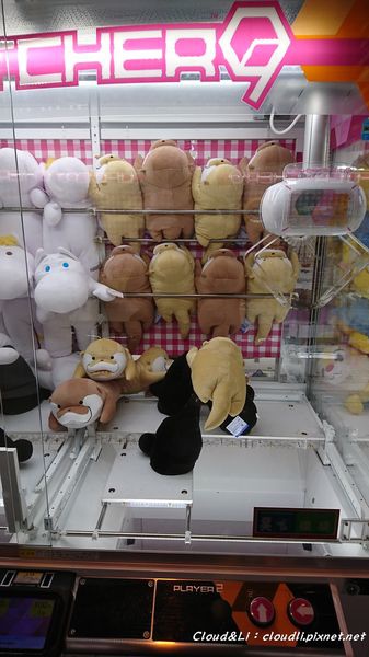 DSC_4874_01_16_2018.JPG DSC_4874_01_16_2018.JPG