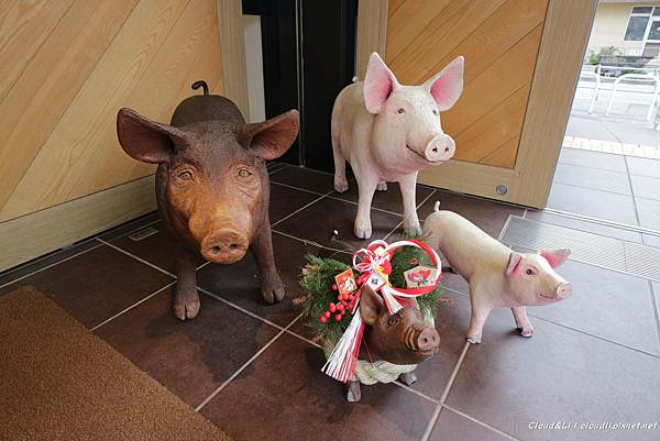 IMG_2489_01_25_2018.JPG IMG_2489_01_25_2018.JPG