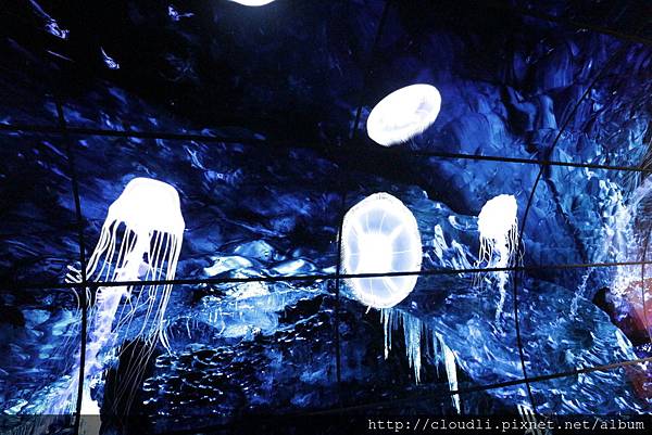 IMG_0396.JPG IMG_0396.JPG