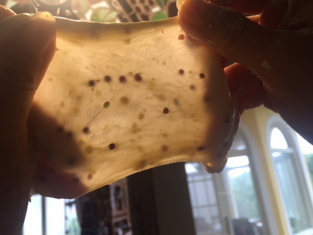 IMG_6339.JPG IMG_6339.JPG