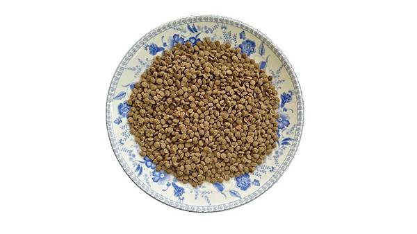 投影片13.JPG 投影片13.JPG