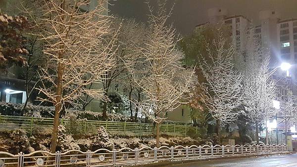 穿搭_171214_0004.jpg 穿搭_171214_0004.jpg