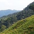 太麻里金針山 (11).jpg