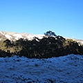IMG_5440