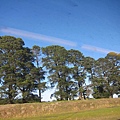 IMG_5600