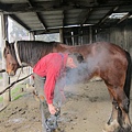 IMG_5617