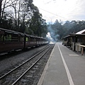IMG_5881