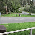 IMG_5905