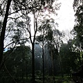 IMG_5919