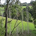 IMG_5931