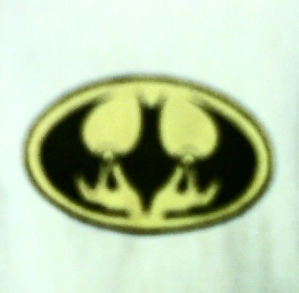 蝙蝠俠與XX的結合