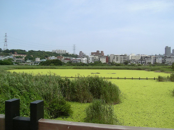 養殖場