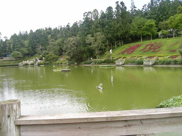 小花園風景