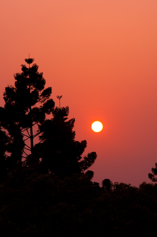DSC_4038 DSC_4038