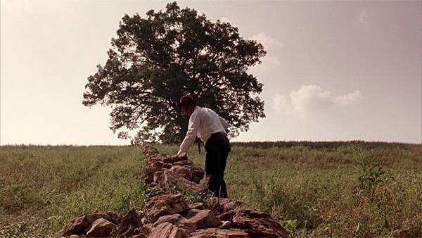 shawshank-tree