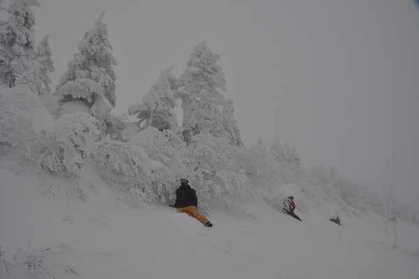 DSC_0065.jpg DSC_0065.jpg