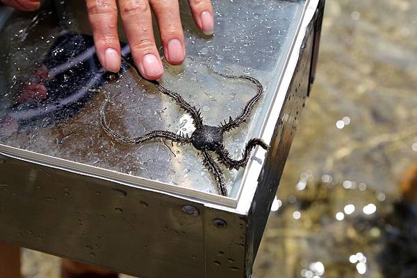 IMG_3710.jpg IMG_3710.jpg