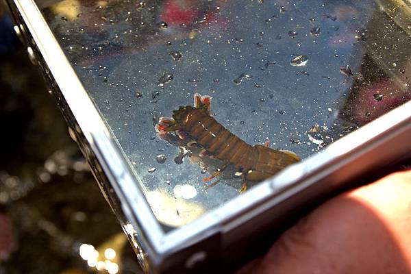 IMG_3712.jpg IMG_3712.jpg